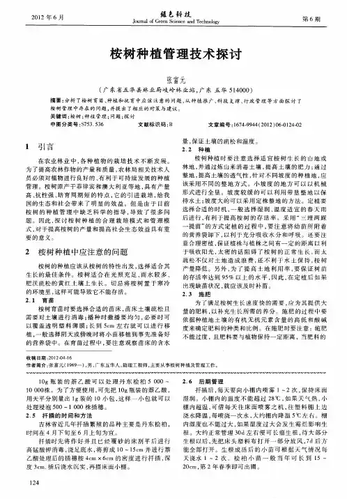 桉树种植管理技术探讨