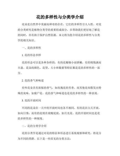 花的多样性与分类学介绍