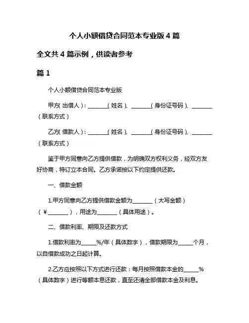 个人小额借贷合同范本专业版4篇