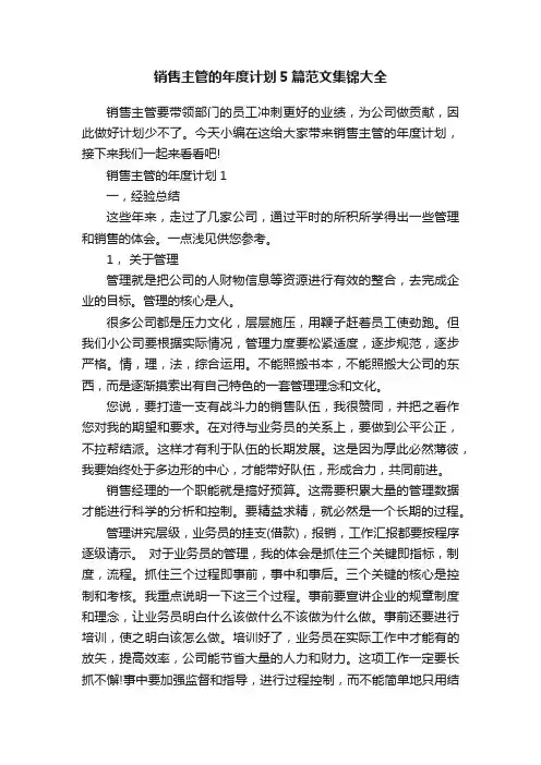 销售主管的年度计划5篇范文集锦大全