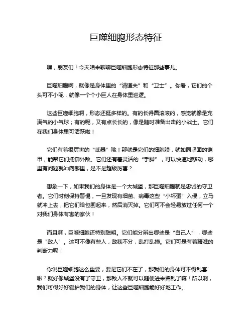 巨噬细胞形态特征