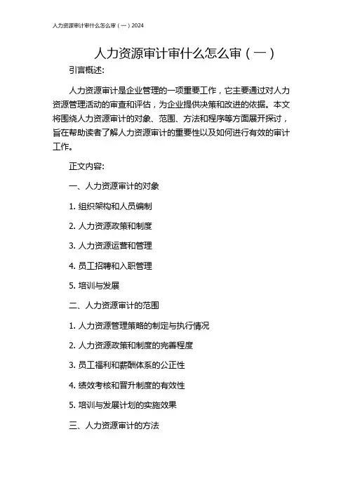 人力资源审计审什么怎么审(一)2024