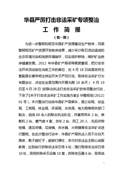 打击非法开采矿产资源专项行动工作简报