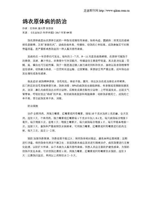 鸽衣原体病的防治