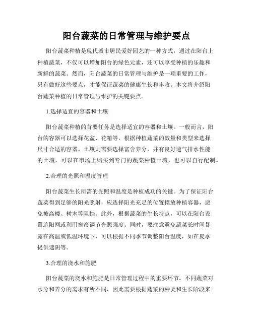 阳台蔬菜的日常管理与维护要点