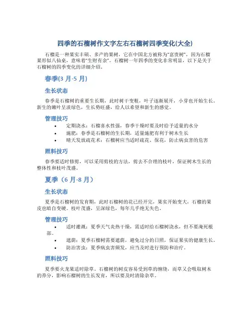 四季的石榴树作文字左右石榴树四季变化(大全)