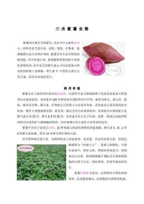 紫薯全粉