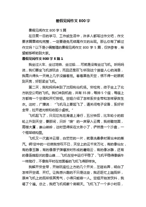 暑假见闻作文800字5篇