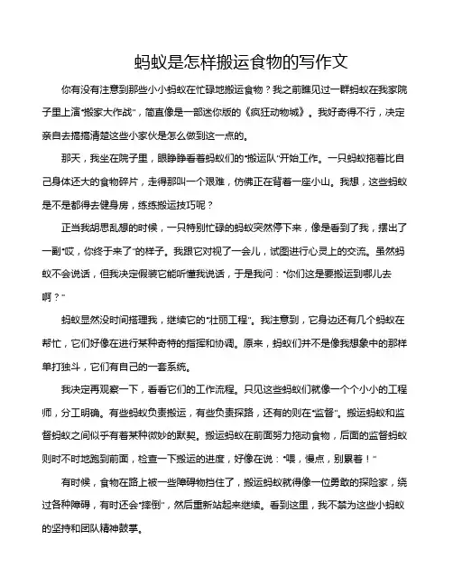蚂蚁是怎样搬运食物的写作文