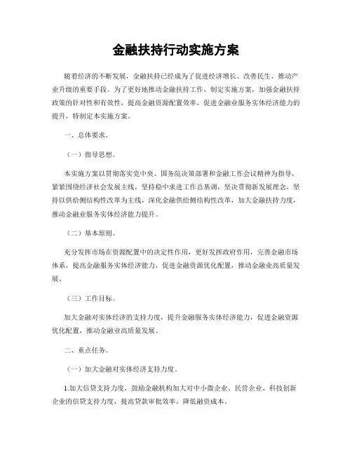 金融扶持行动实施方案