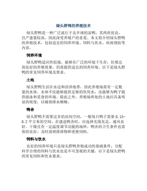 绿头野鸭的养殖技术