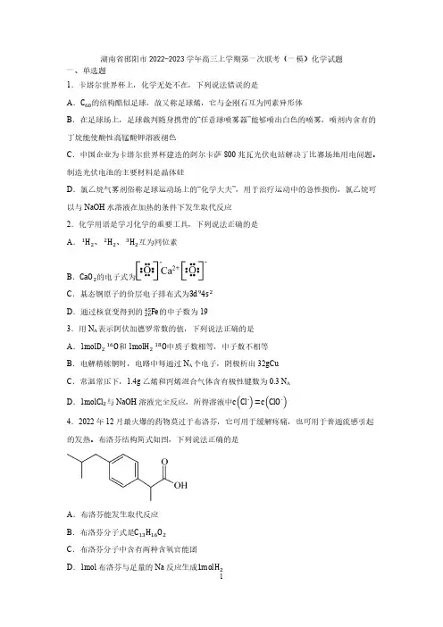 湖南省邵阳市2022-2023学年高三上学期第一次联考(一模)化学试题