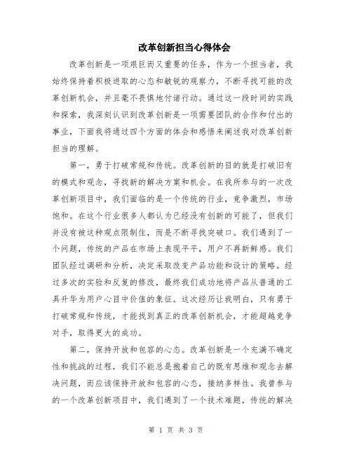 改革创新担当心得体会