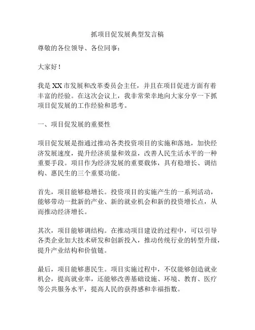 抓项目促发展典型发言稿