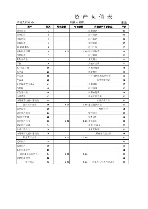 excel模版资产负债表 (6)