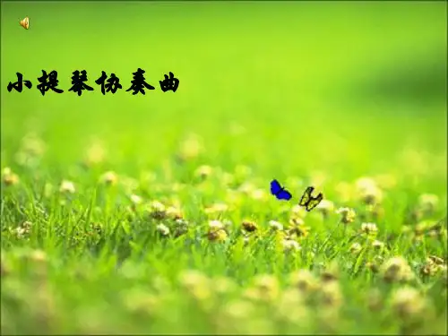 音乐课件_梁山伯与祝英台
