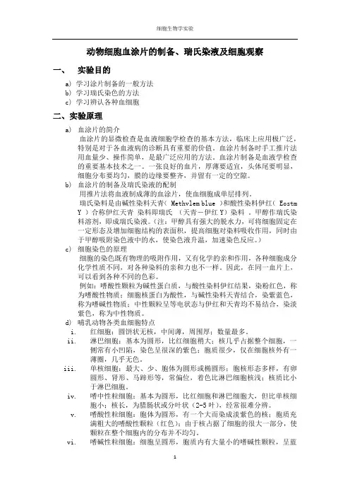 动物细胞血涂片的制备
