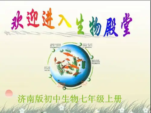 生物课件：动物的行为 济南版七年级上册