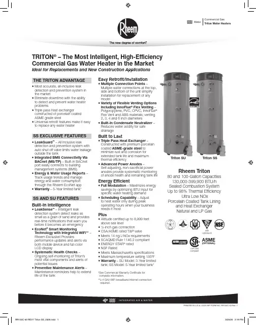瑞恩 Triton 商用燃气热水器说明书