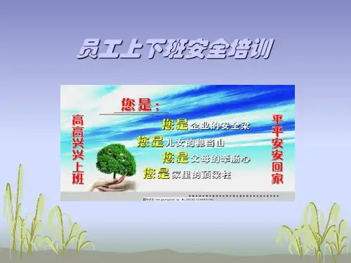 员工上下班途中道路交通安全知识 ppt课件