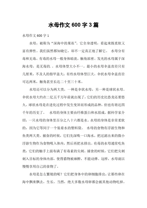 水母作文600字3篇
