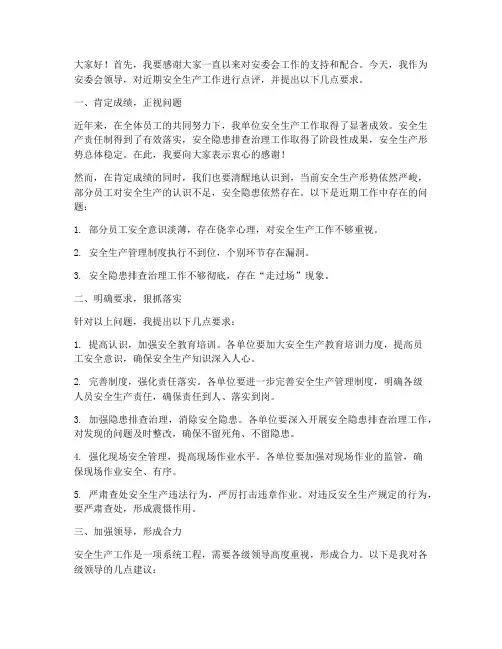安委会领导点评发言稿