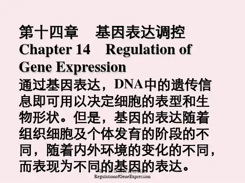 第十四章基因表达调控RegulationofGeneExpression