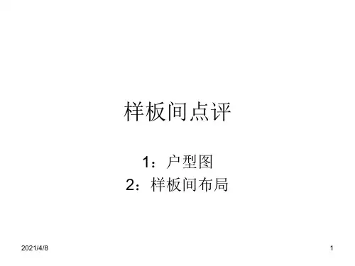 样板间点评PPT课件