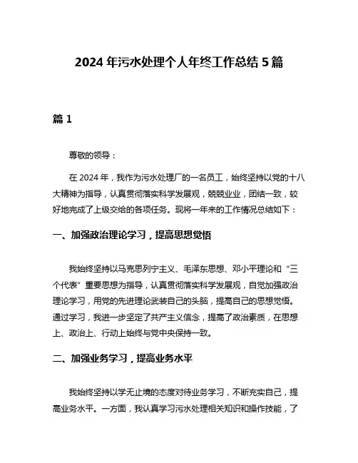 2024年污水处理个人年终工作总结5篇