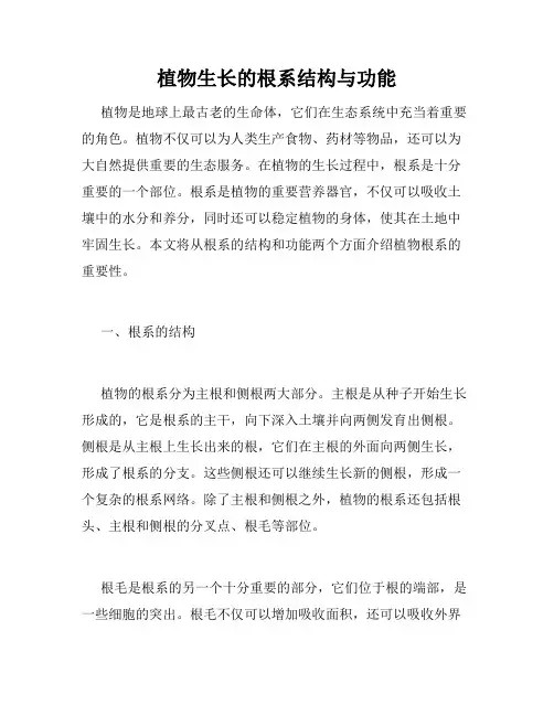 植物生长的根系结构与功能