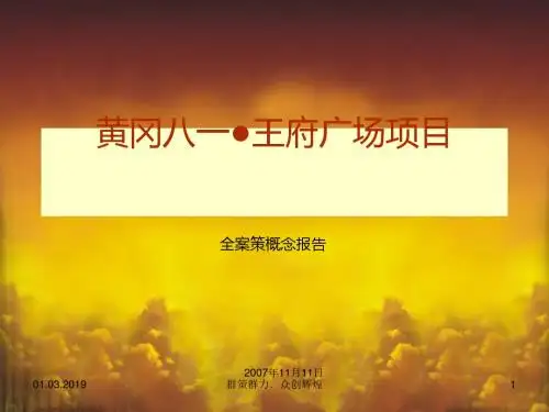 某广场商业项目全案策划报告(PPT 67张)