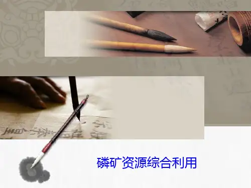 磷矿资源综合利用