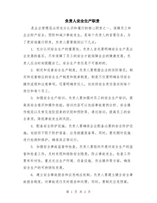 负责人安全生产职责