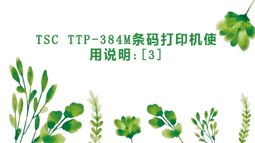 TSC TTP 384M条码打印机使用说明  3 