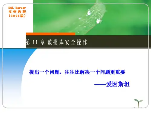 电子工业出版社-15040-《SQL Server实例教程(2008版)》-电子教案-第11章-66页精选文档