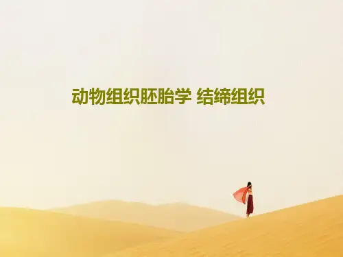 动物组织胚胎学 结缔组织共64页PPT