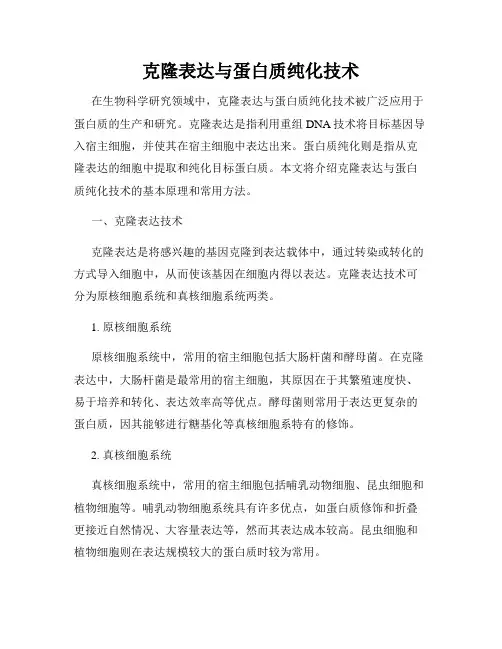 克隆表达与蛋白质纯化技术