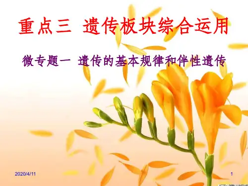 高三生物二轮复习遗传的基本规律和伴性遗传PPT课件