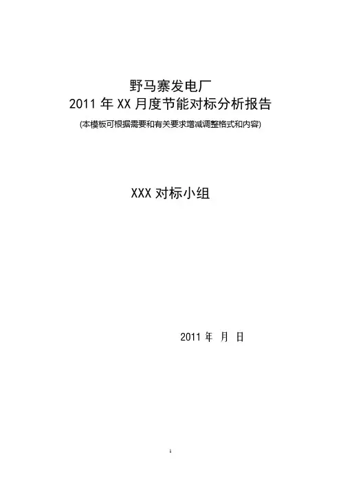 对标分析报告模板.doc