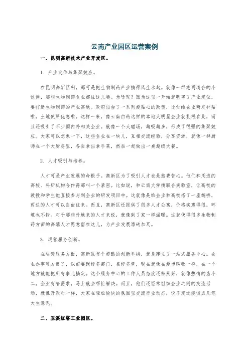 云南产业园区运营案例