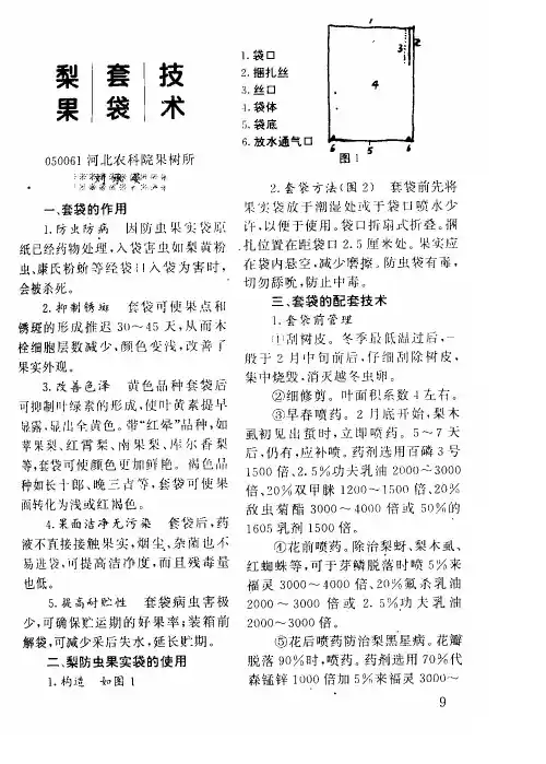 梨果套袋技术