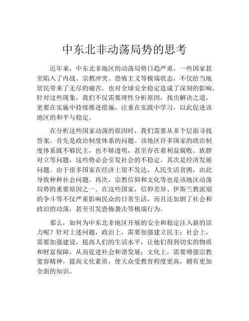中东北非动荡局势的思考