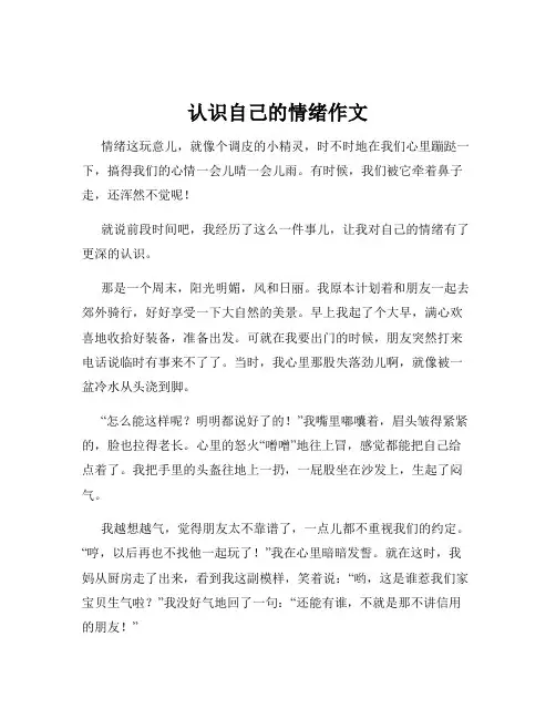 认识自己的情绪作文