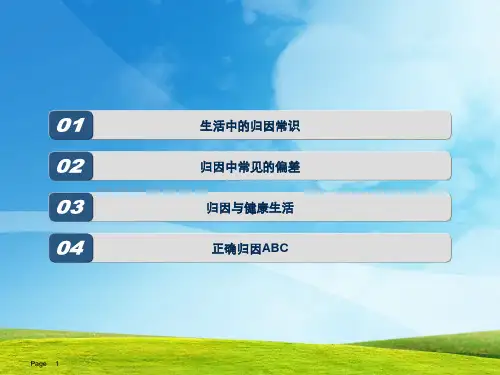 学会正确归因PPT课件