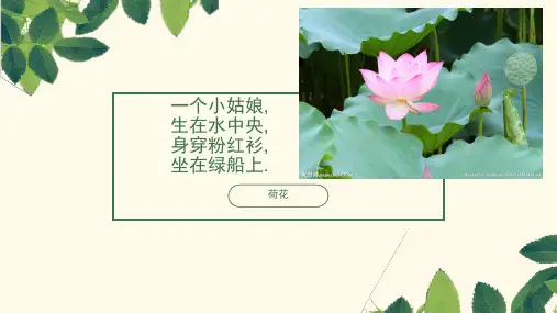 常见11种修辞手法的定义与作用讲解课件共24张PPT