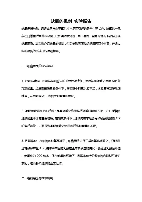 缺氧的机制 实验报告
