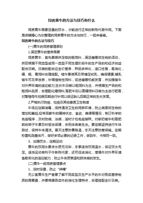 饲养黄牛的方法与技巧有什么