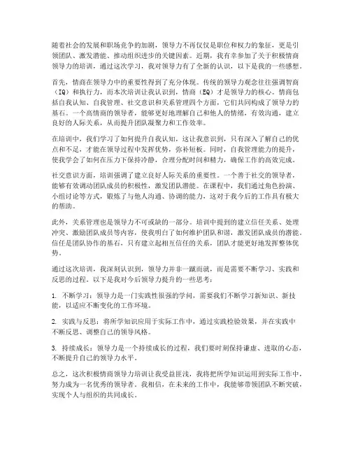 积极情商领导力培训感想