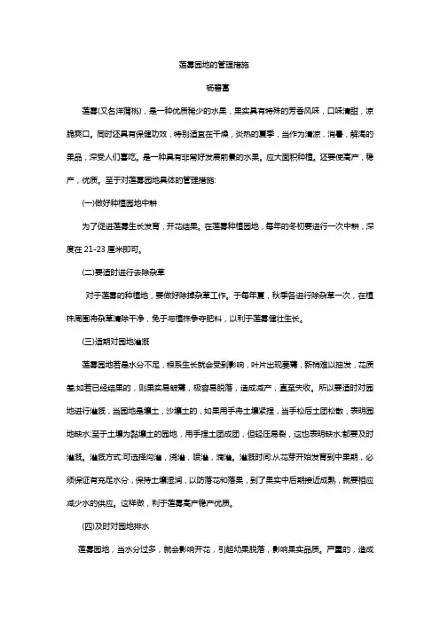莲雾园地的管理措施