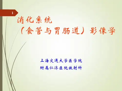 消化系统(食管与胃肠道)